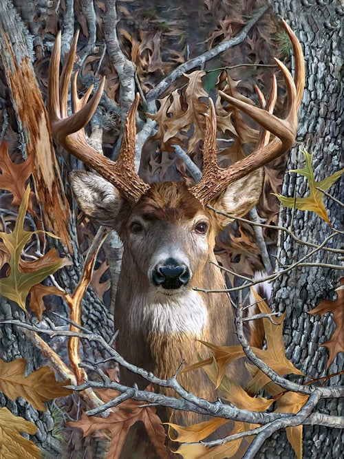 Close-up of a deer's head and antlers in a forest setting with autumn leaves and tree bark.
