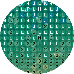 Close-up of round diamond painting resin diamonds with letters and numbers printed on them, arranged in a grid pattern.