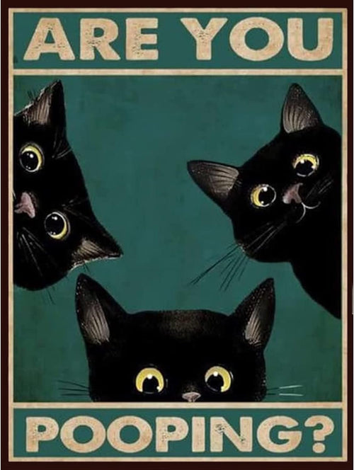Three black cats with yellow eyes peek from behind a teal background with text.