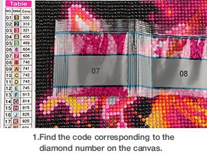 Diamond painting kit showing numbered bags of beads and instructions for matching codes to canvas.