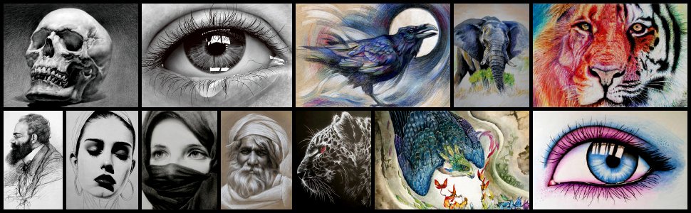 Collage of detailed pencil and colored pencil drawings including a skull, eye with tear, raven, elephant, tiger, man's profile, woman's face, veiled woman, leopard, eagle, and eye with makeup.