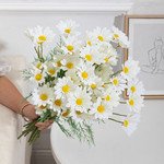 Bouquet of 15 white daisy flowers with yellow centers and green stems, held by a person.