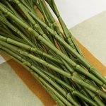Bundle of green artificial daisy flower stems with segmented stalks, close-up view