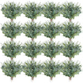 Arrangement of artificial eucalyptus stems with green leaves and white seed branches on a white background.