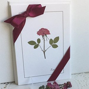 Pressed pink rose on white card with burgundy ribbon and bow, small dried flowers below