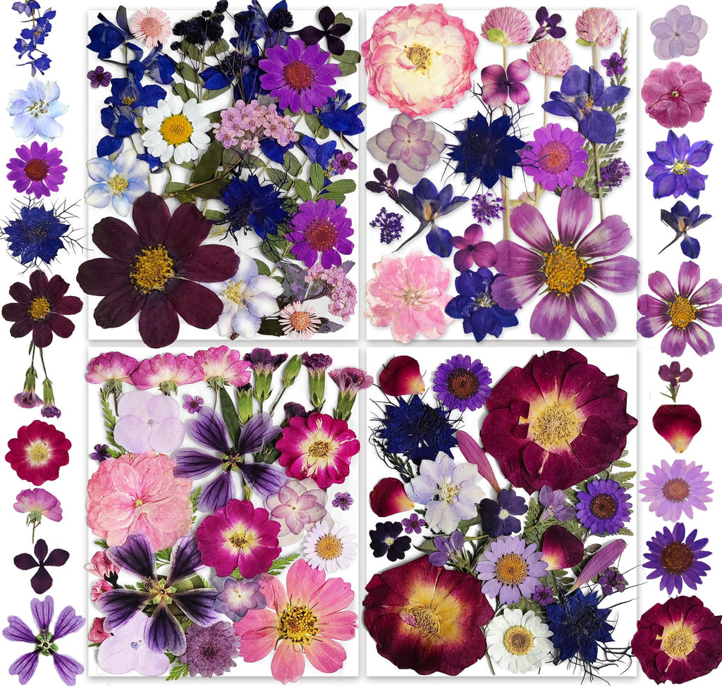 Assortment of purple, pink, and blue dried pressed flowers and petals arranged in four quadrants and on the right side.