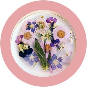 Assortment of dried pressed flowers and leaves encased in clear resin, arranged in a circular pattern.