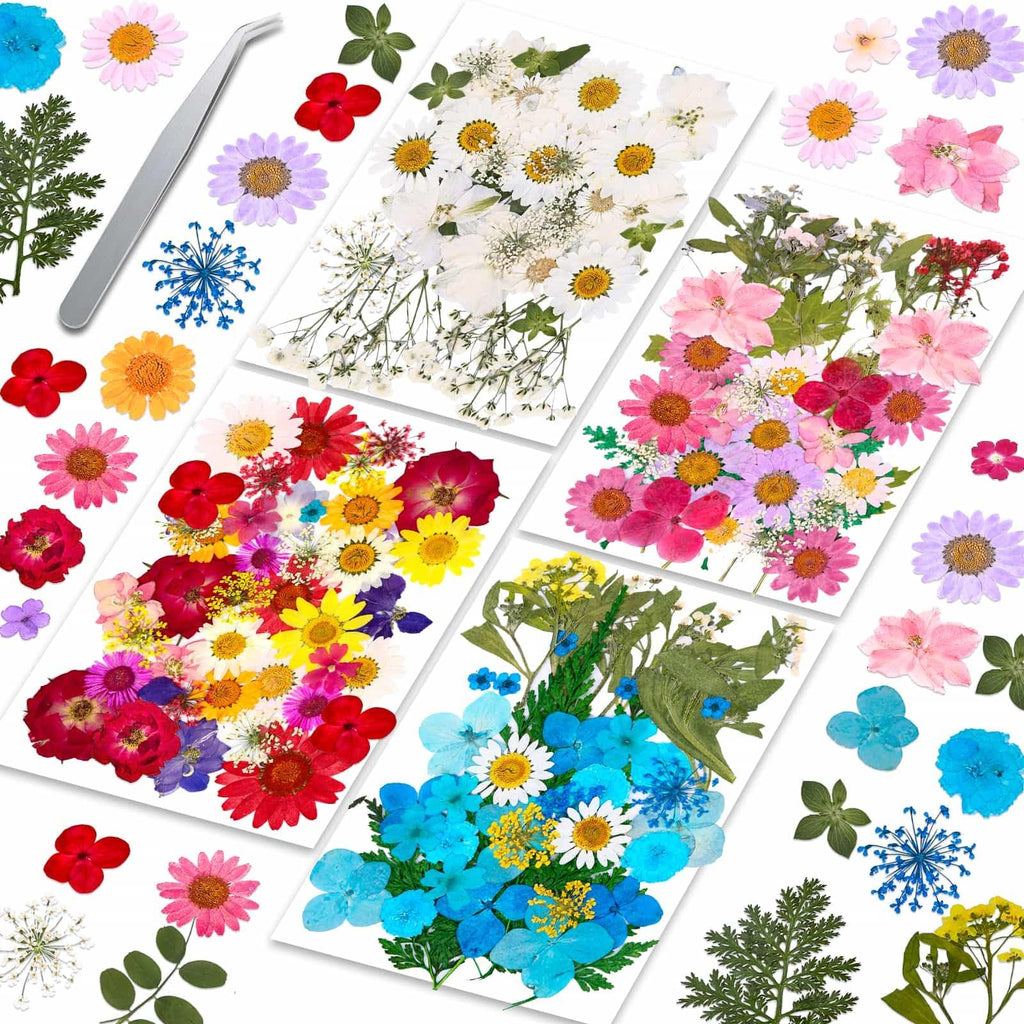 Assortment of colorful dried pressed flowers and leaves with tweezers on a white background