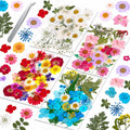 Assortment of colorful dried pressed flowers and leaves with tweezers on a white background