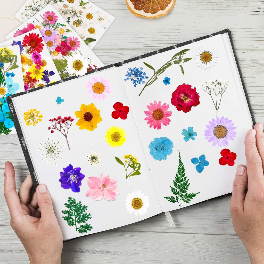 Hands holding open a book displaying various colorful dried pressed flowers and leaves.