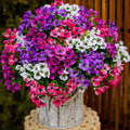 Bouquet of artificial flowers in pink, purple, and white, in a rustic pot, displayed outdoors.