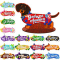 Dachshund diamond art kit centerpiece with interchangeable seasonal decor pieces, including holidays and seasons.