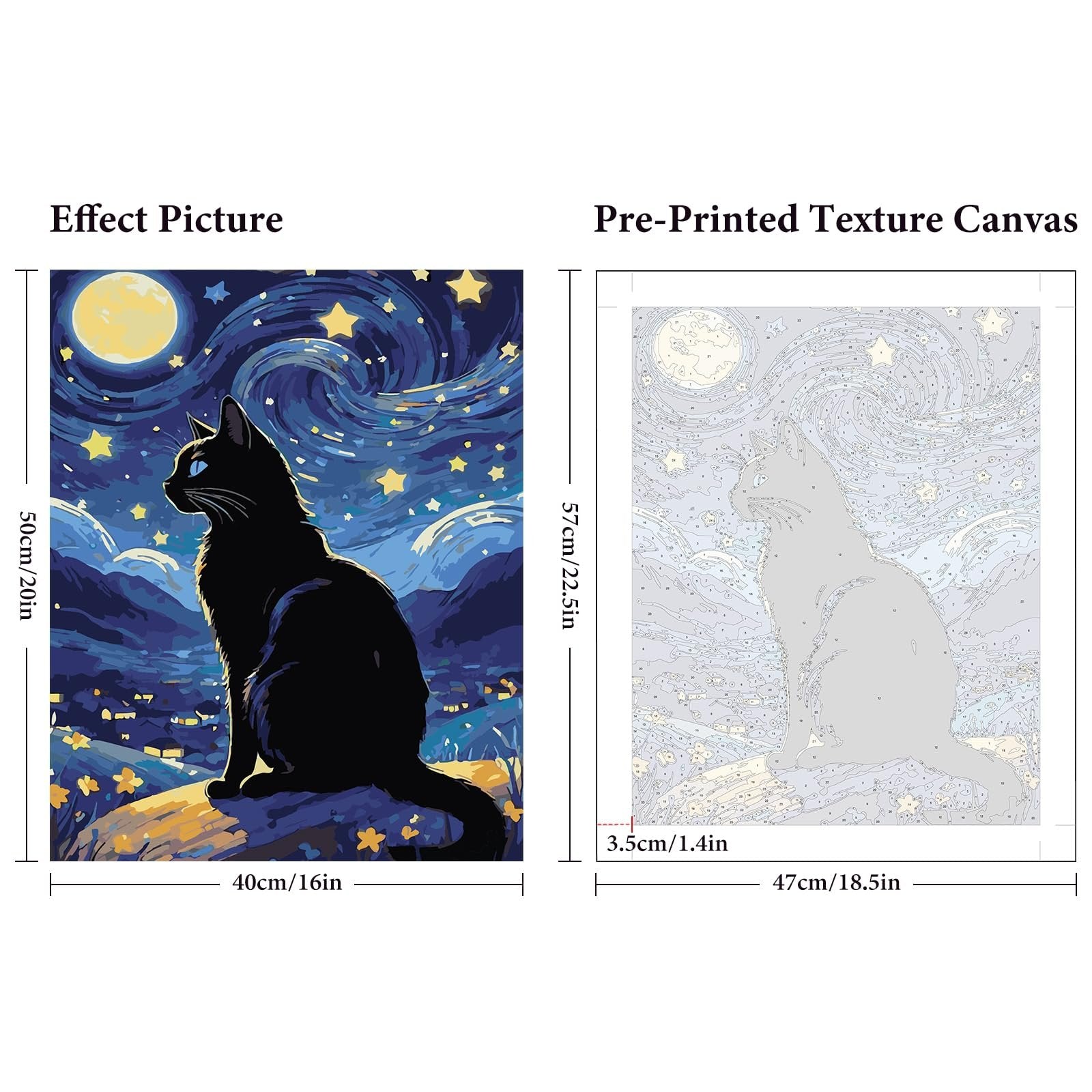 Paint by numbers kit showing an effect picture of a black cat under a starry night sky and a pre-printed texture canvas with numbered sections.