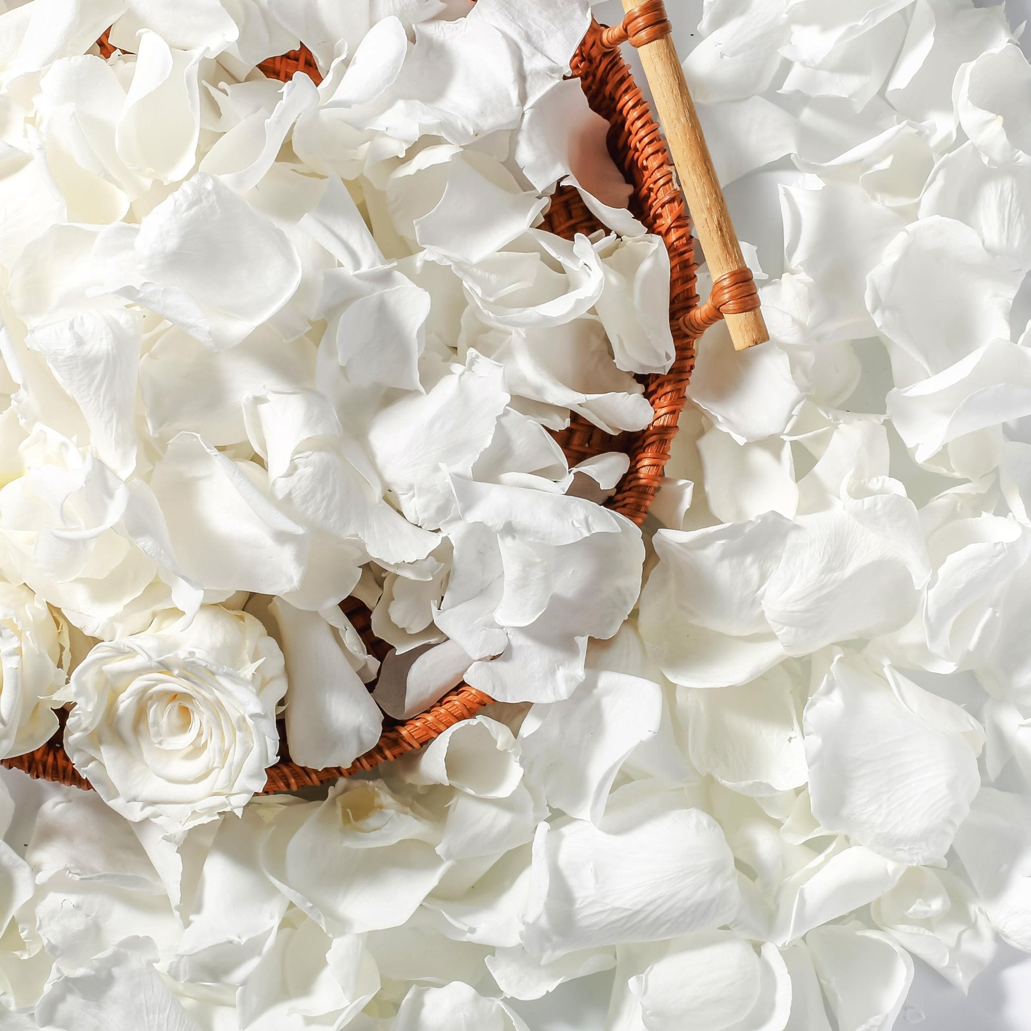 Ivory white dried rose petals and a single preserved rose in a woven basket, top-down view