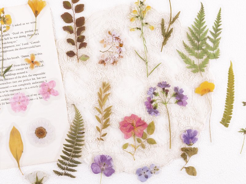 Assortment of pre-cut botanical PET stickers featuring pressed flowers and leaves scattered on a white surface with text from a book.