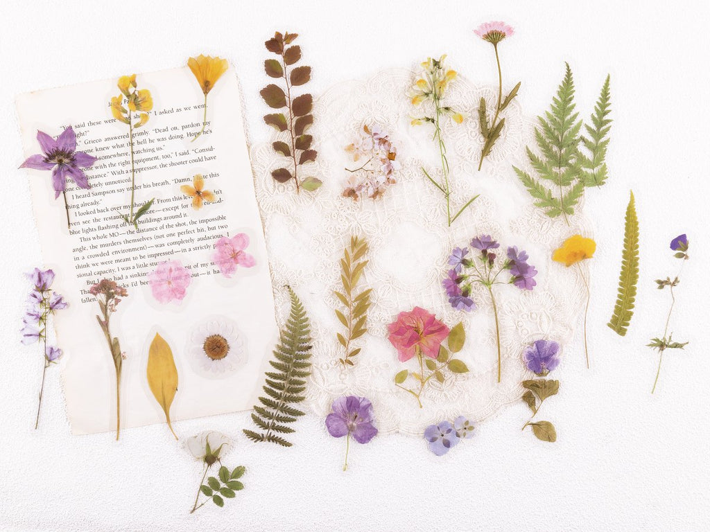 Assortment of pre-cut botanical PET stickers featuring pressed flowers and leaves scattered on a piece of text.
