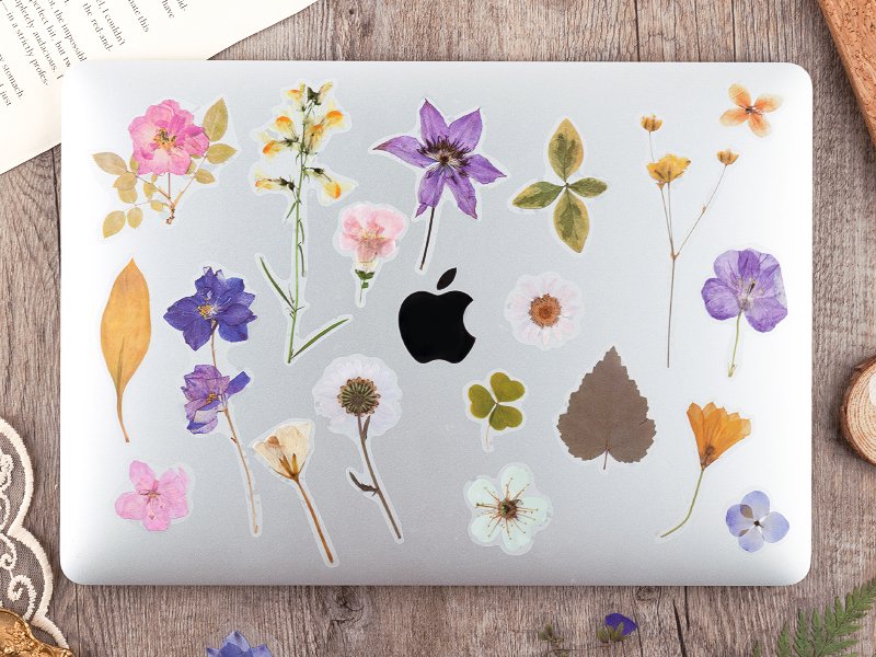 Assortment of dried botanical stickers applied to a silver laptop lid, featuring various flowers and leaves.