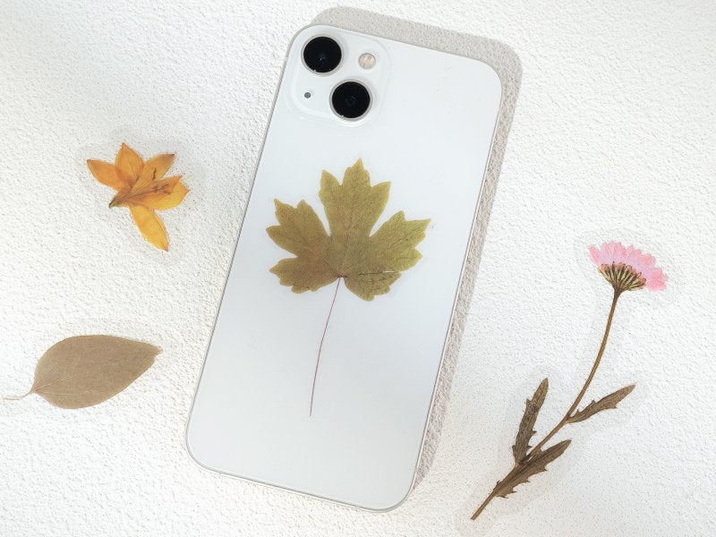 Clear phone case with a pressed maple leaf sticker on the back, surrounded by other dried botanical stickers.