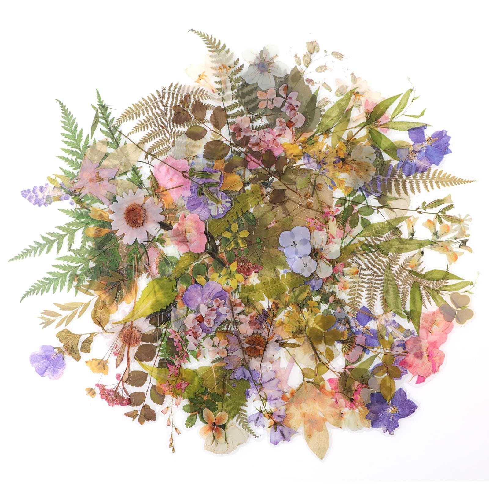 Assortment of pre-cut botanical PET stickers featuring pressed flowers and leaves in various colors