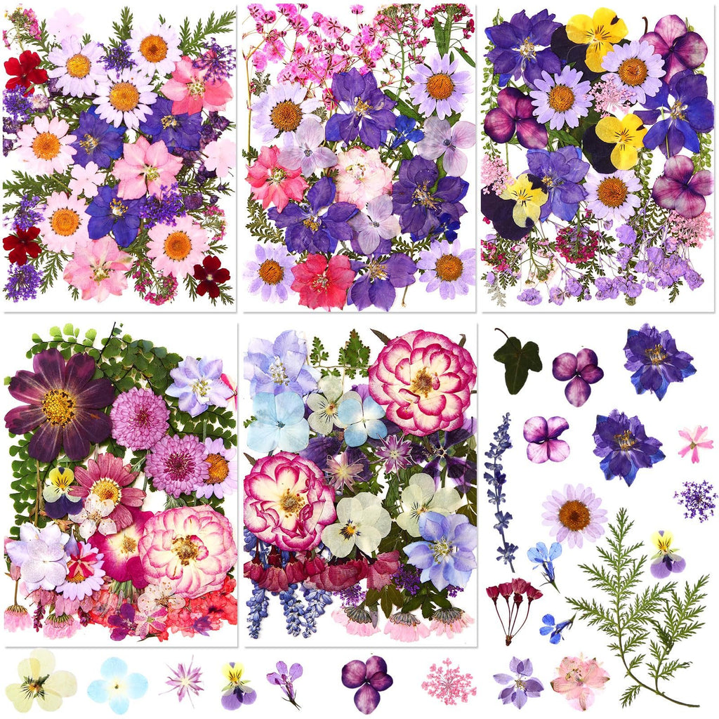 Collage of six arrangements of colorful pressed dried flowers including daisies, roses, and wildflowers on white backgrounds.