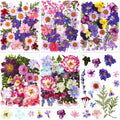 Collage of six arrangements of colorful pressed dried flowers including daisies, roses, and wildflowers on white backgrounds.