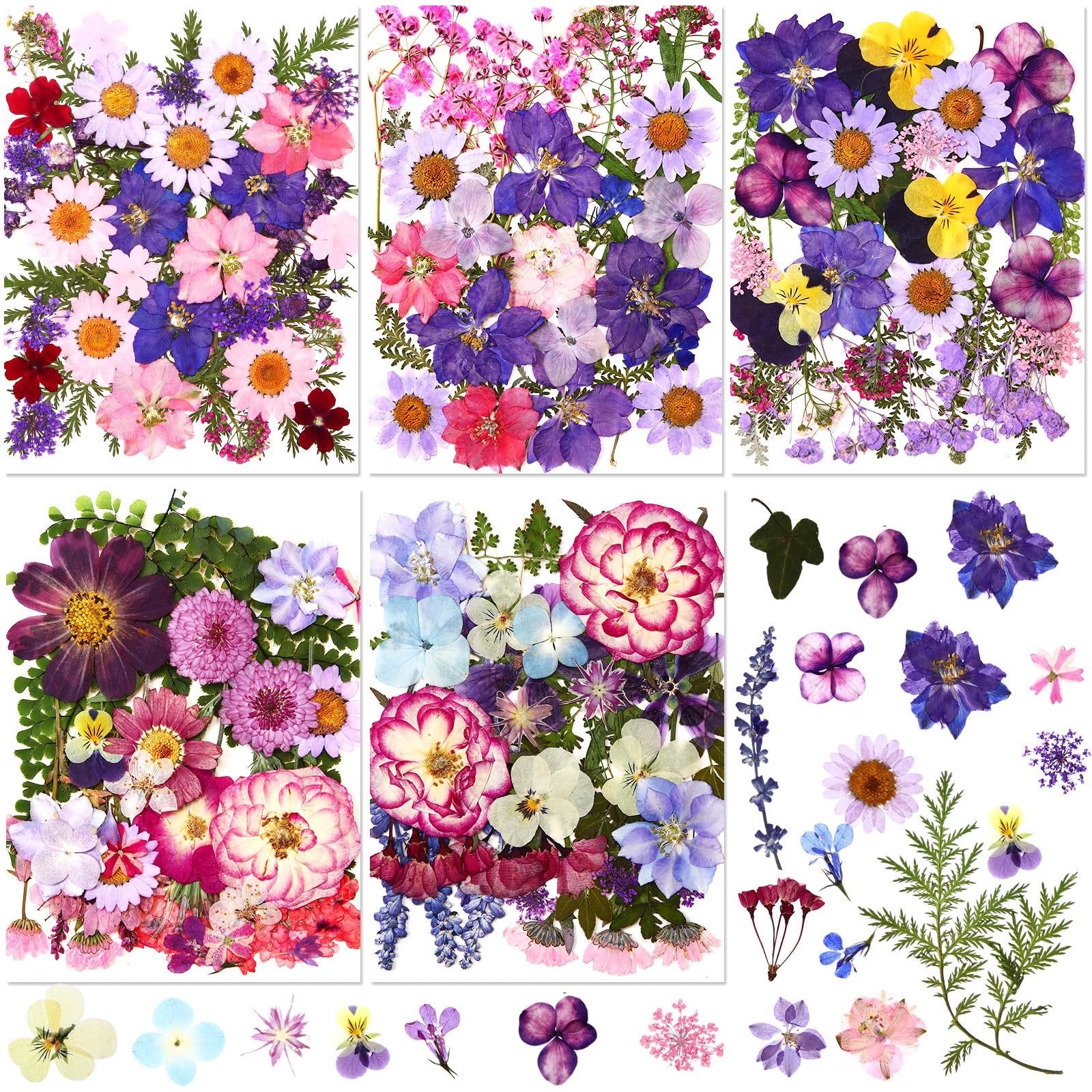 Collage of six arrangements of colorful pressed dried flowers including daisies, roses, and wildflowers on white backgrounds.