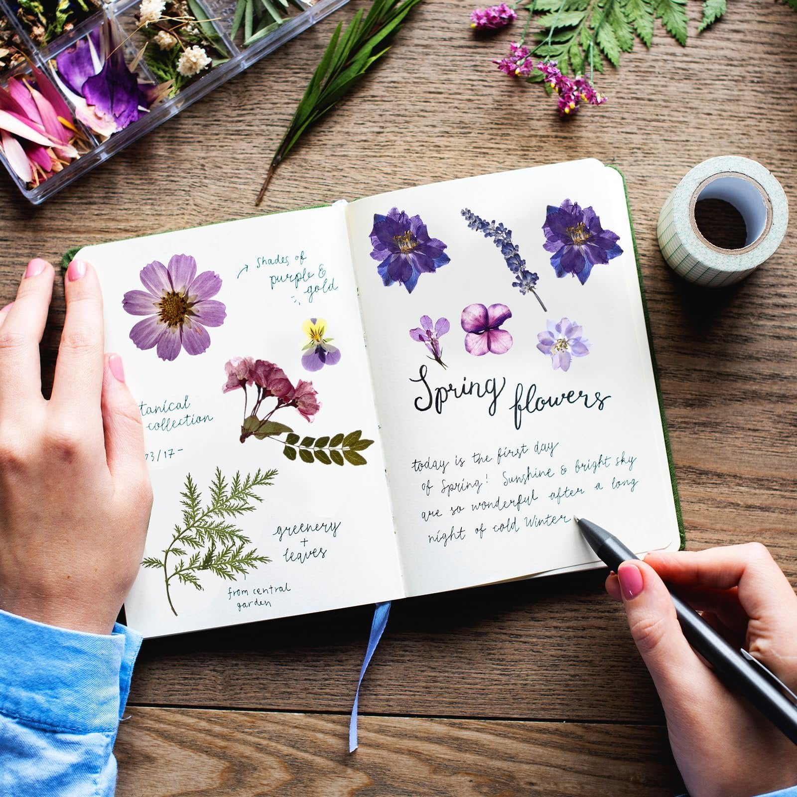 Hands arranging pressed flowers in a journal with handwritten notes and drawings of flowers.