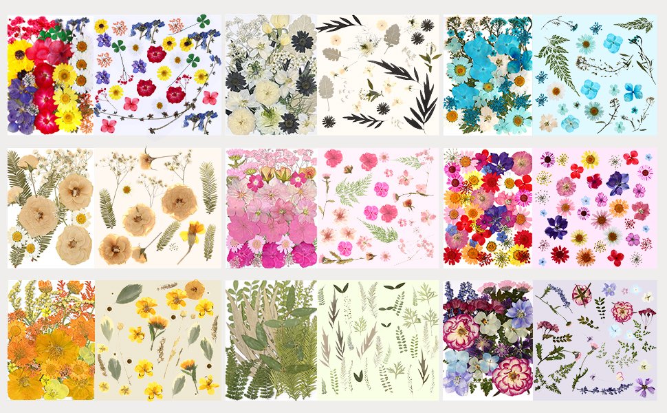 Collage of 15 panels showcasing various dried pressed flowers and leaves in different colors and arrangements.