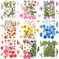 Collage of nine panels showcasing various dried pressed flowers and leaves in multicolor arrangements on white backgrounds.