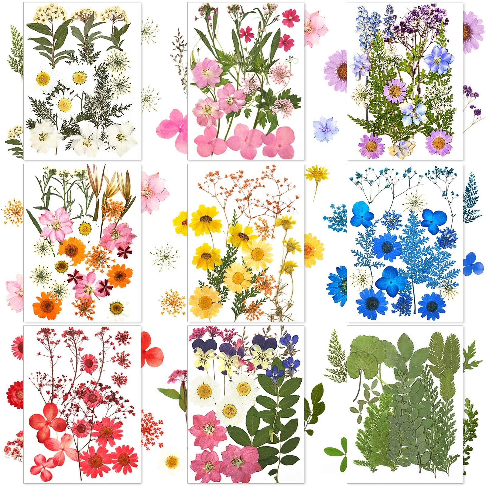 Collage of nine panels showcasing various dried pressed flowers and leaves in multicolor arrangements on white backgrounds.