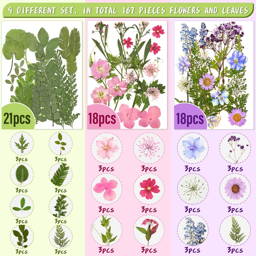 Assortment of dried pressed flowers and leaves in various colors and types, displayed in sections with piece counts.
