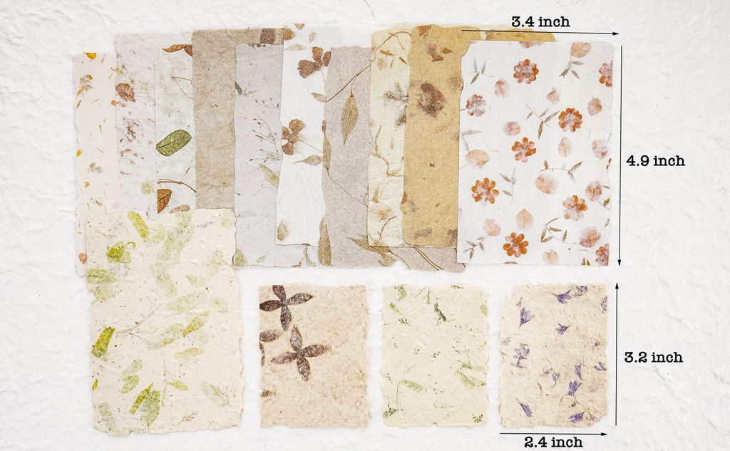 Assorted scrapbook paper with floral and leaf inclusions, showing dimensions 2.4x3.2 and 3.4x4.9 inches.