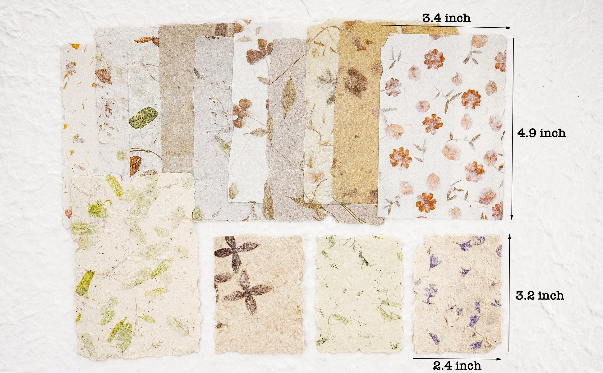 Assorted scrapbook paper with floral and leaf inclusions, showing dimensions 2.4x3.2 and 3.4x4.9 inches.