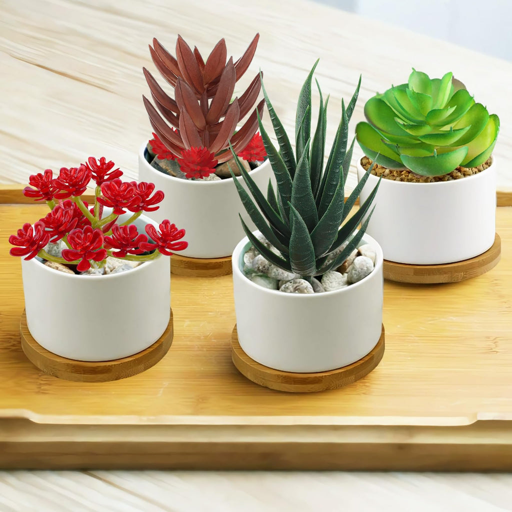 Four assorted artificial succulent plants in white ceramic pots with bamboo saucers on a wooden tray.