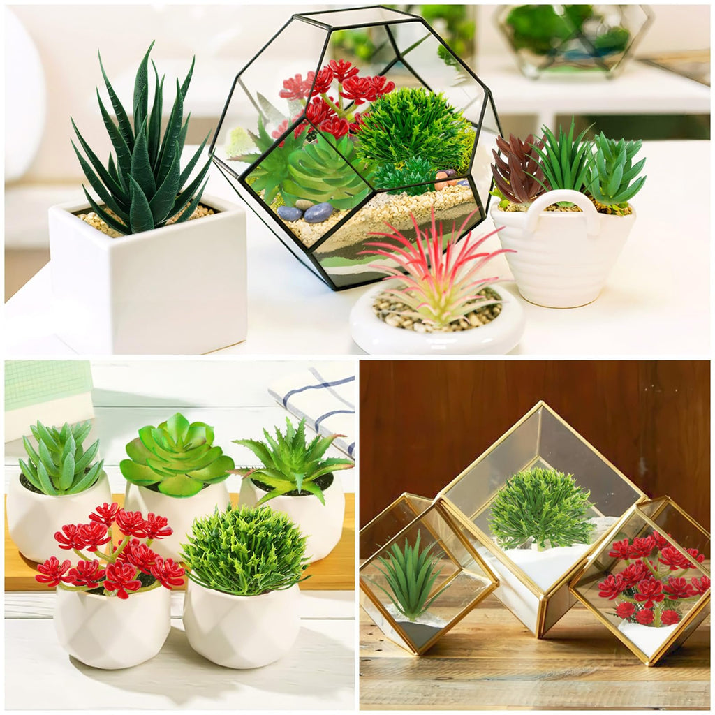 Collage of artificial succulent plants in various decorative pots and geometric glass terrariums.