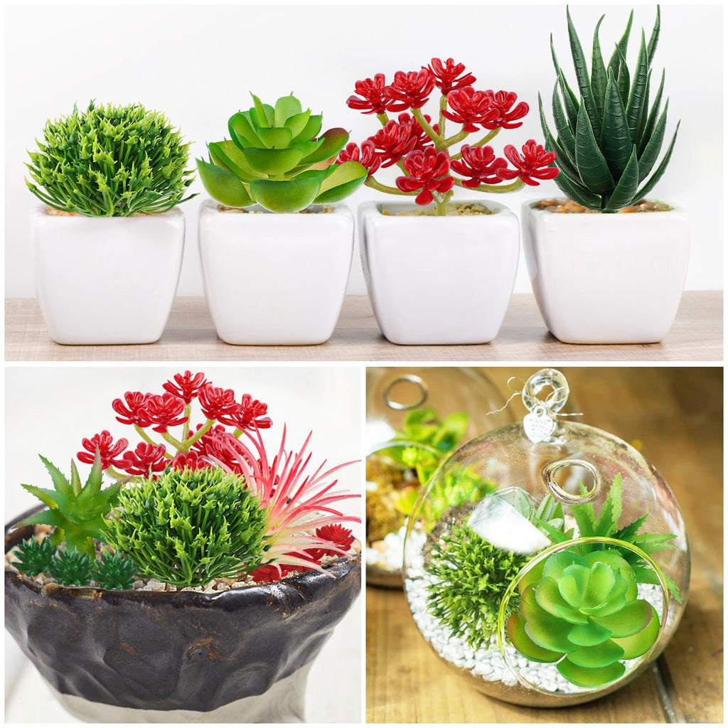 Collage of artificial succulent plants in white pots, a dark pot, and glass terrariums.