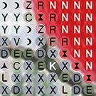 Diamond painting kit grid with symbols and partial cardinal bird image background
