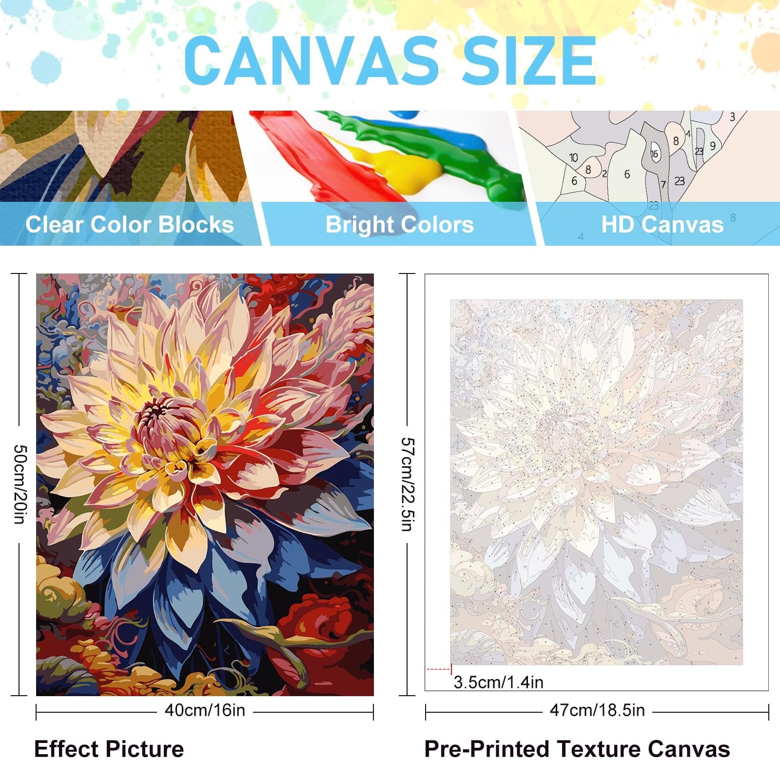 Paint by numbers kit showing a finished floral painting and the numbered canvas, with text overlays about canvas size and features.