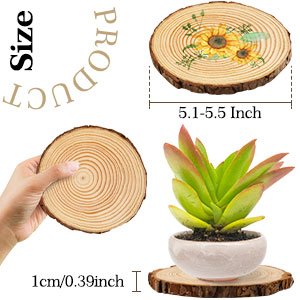 Unfinished wood slices with bark, one showing a sunflower design, another in a pot with a succulent.