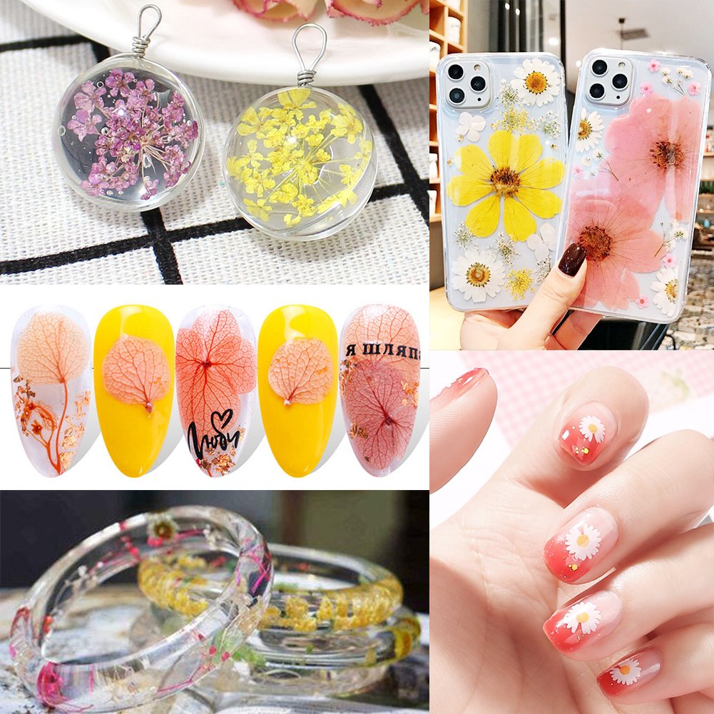 Collage of dried pressed flowers and leaves used in crafts like jewelry, phone cases, nail art, and bracelets.