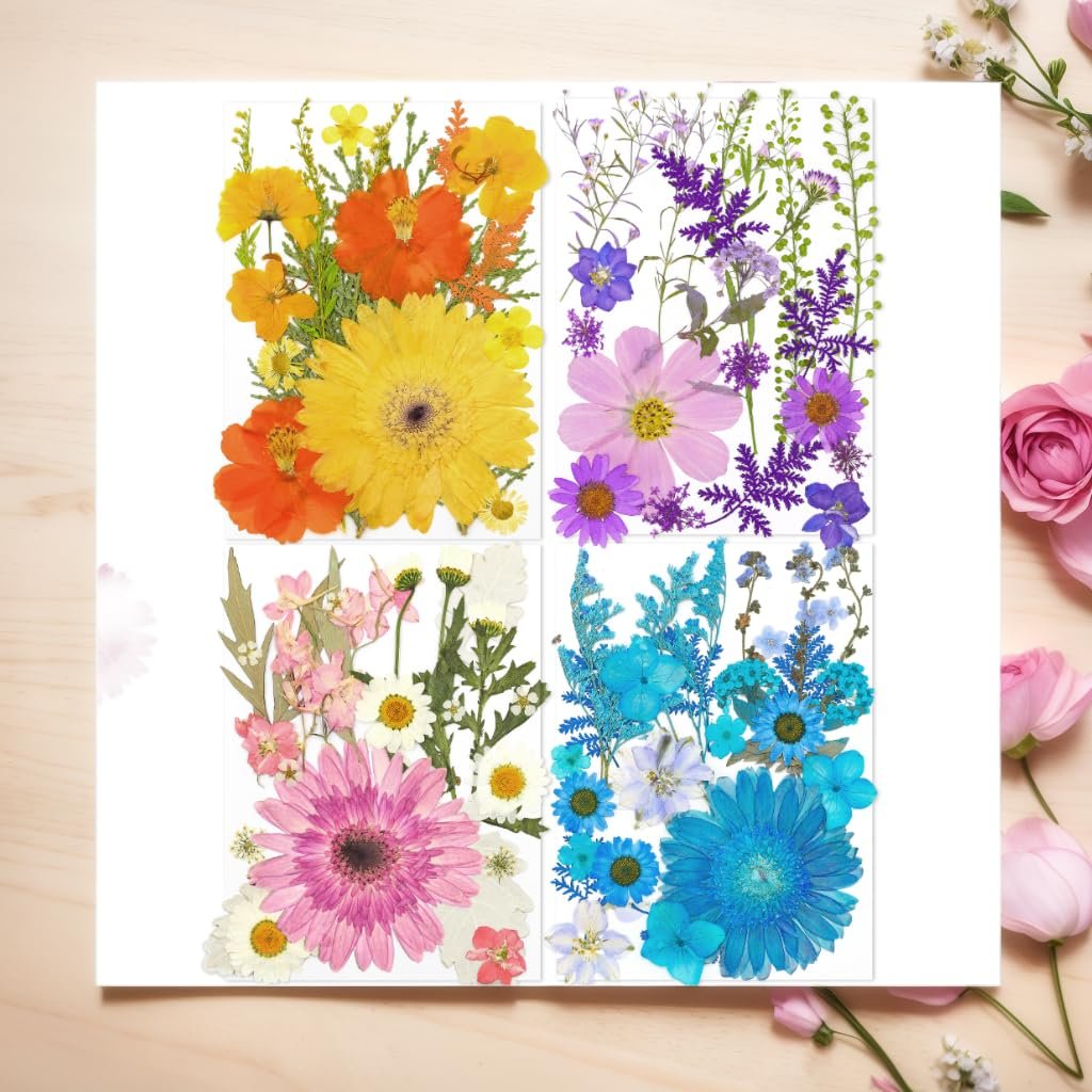 Four panels of assorted dried pressed flowers and leaves in vibrant colors including yellow, orange, pink, purple, and blue.