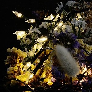 Warm white LED string lights with clear bulbs woven through dried flowers and greenery.