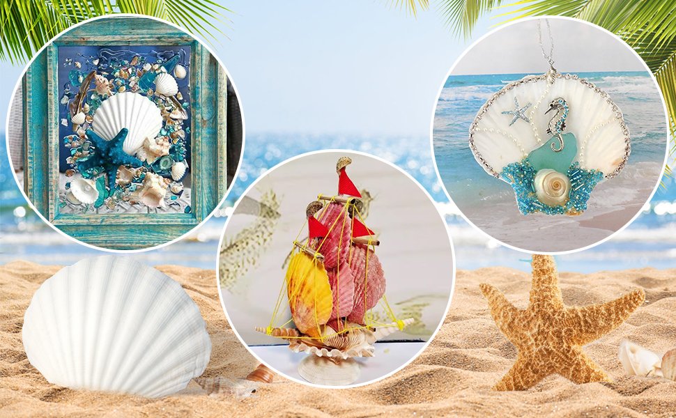 Collage of beach-themed crafts including a framed seashell arrangement, a seashell ship, and a seashell necklace, set against a beach background.