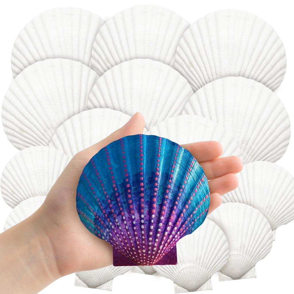 Hand holding a large, colorful scallop shell with a blue, purple, and pink gradient and pink dots. Several white scallop shells are visible in the background.