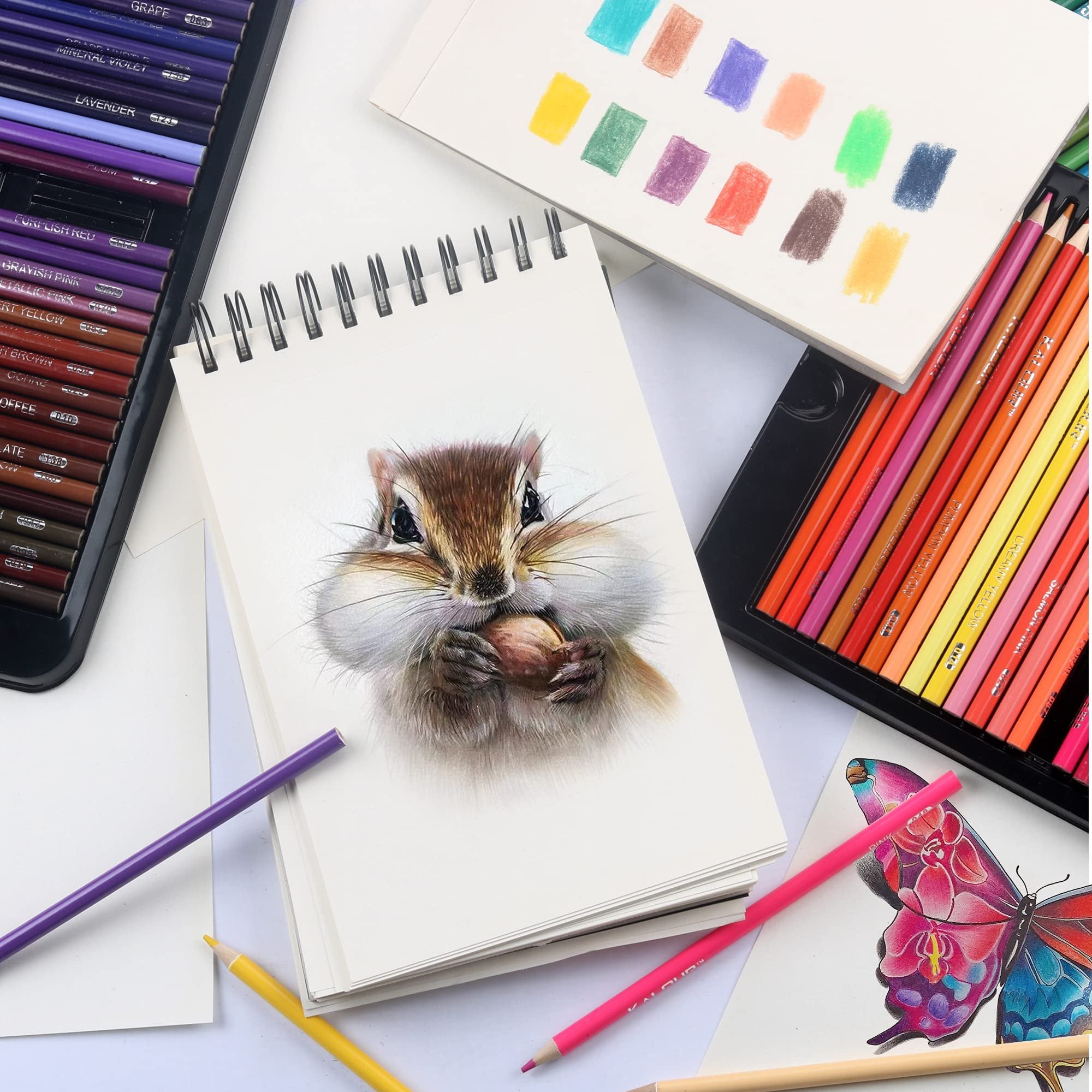 Colored pencils and sketchpads showing a chipmunk drawing and butterfly art, with color swatches.