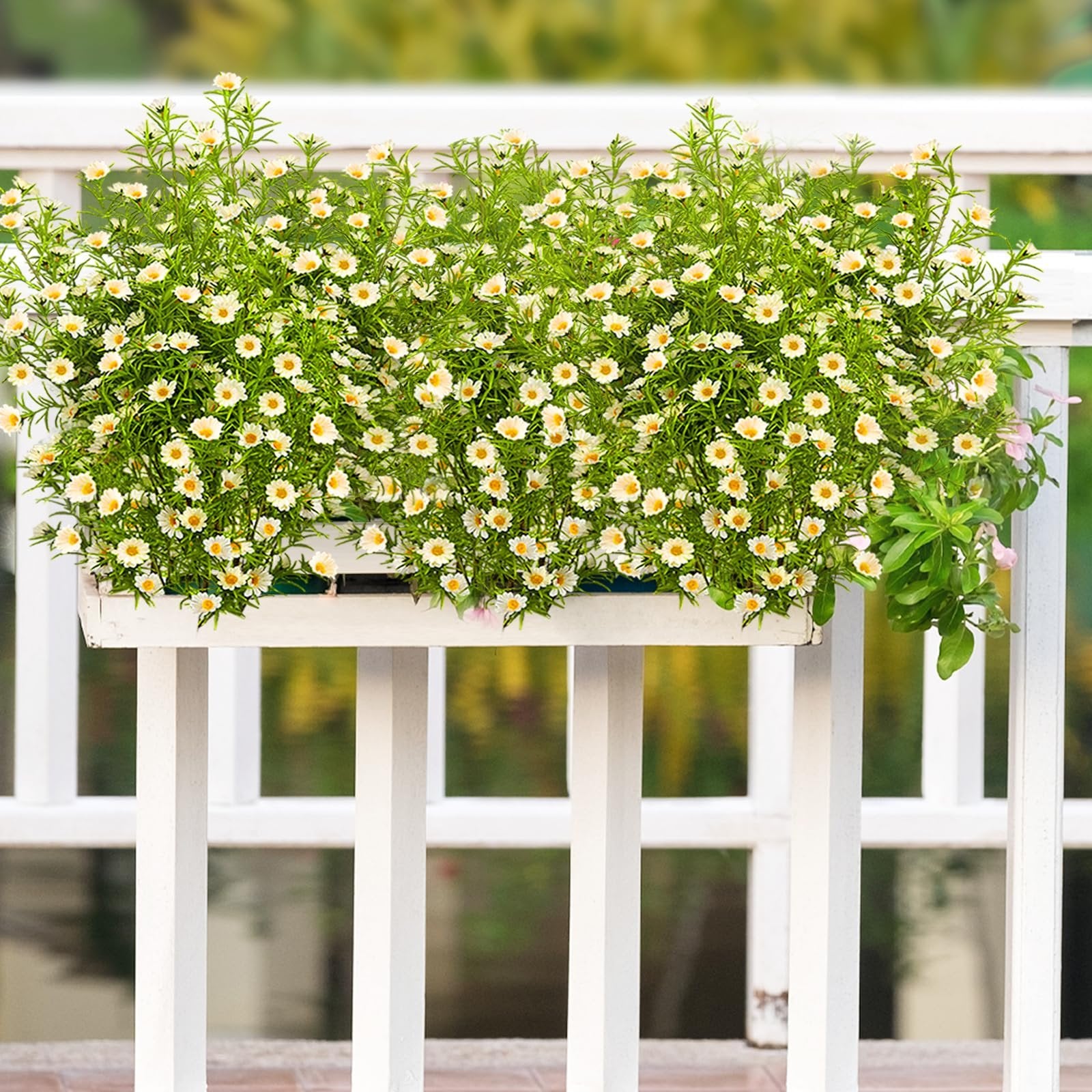 White artificial daisy flowers with green foliage in a white planter box on a white railing