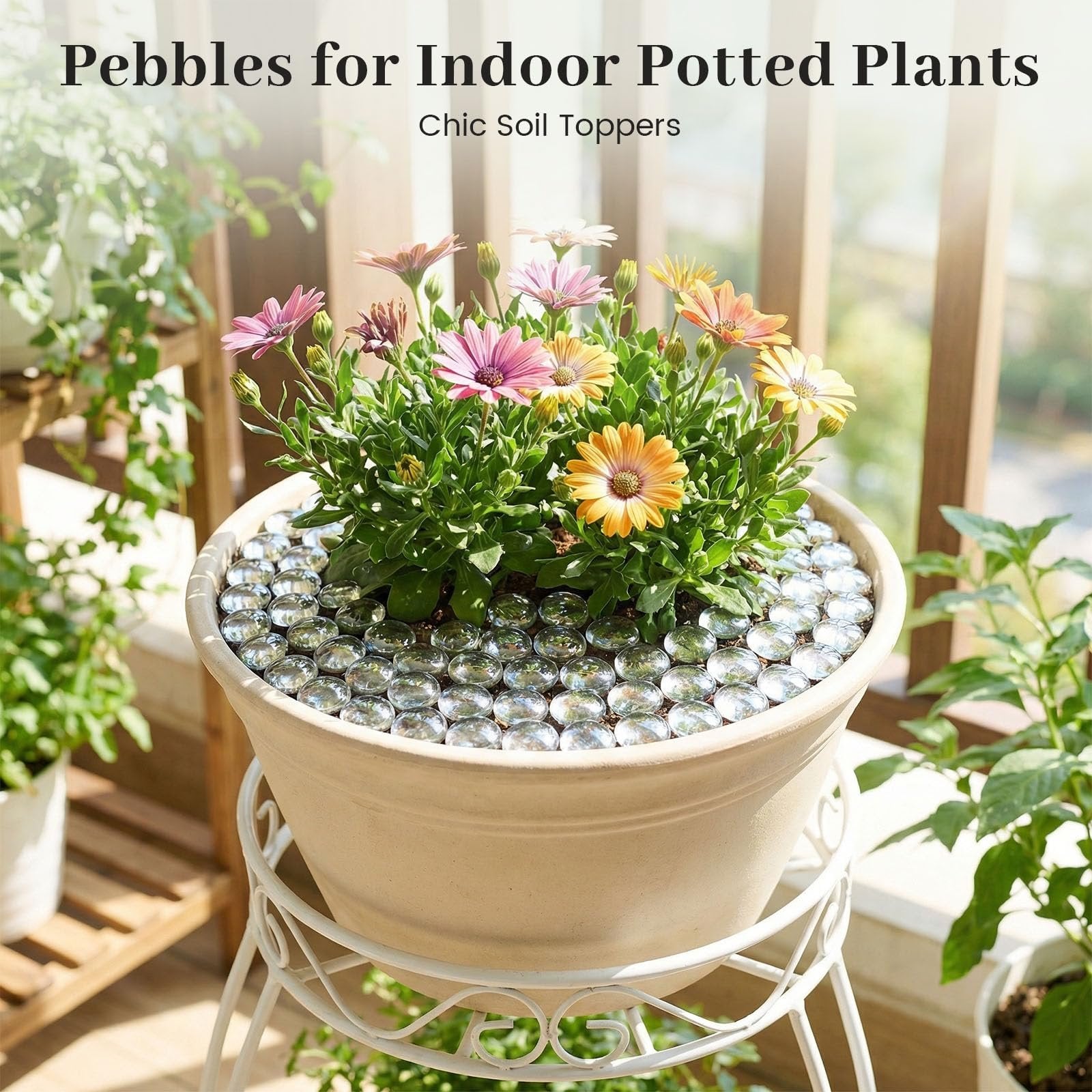 Potted plant with clear flat glass marbles as soil toppers on a balcony