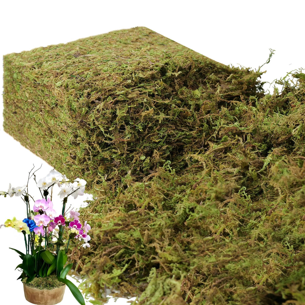 Block of green artificial moss with a potted orchid plant in the foreground on a white background