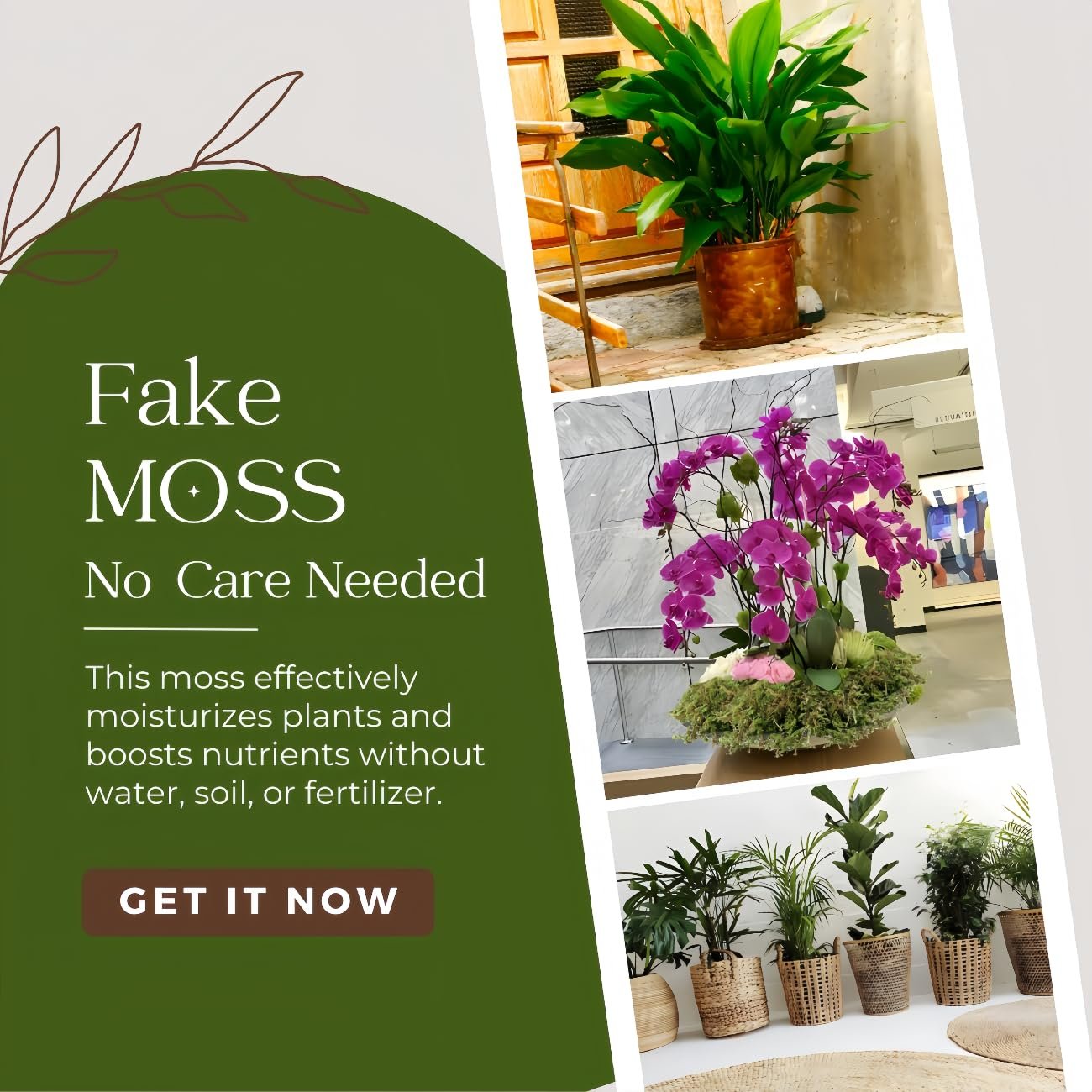 Collage of artificial moss in use: potted plant, orchid arrangement, and various houseplants in baskets.