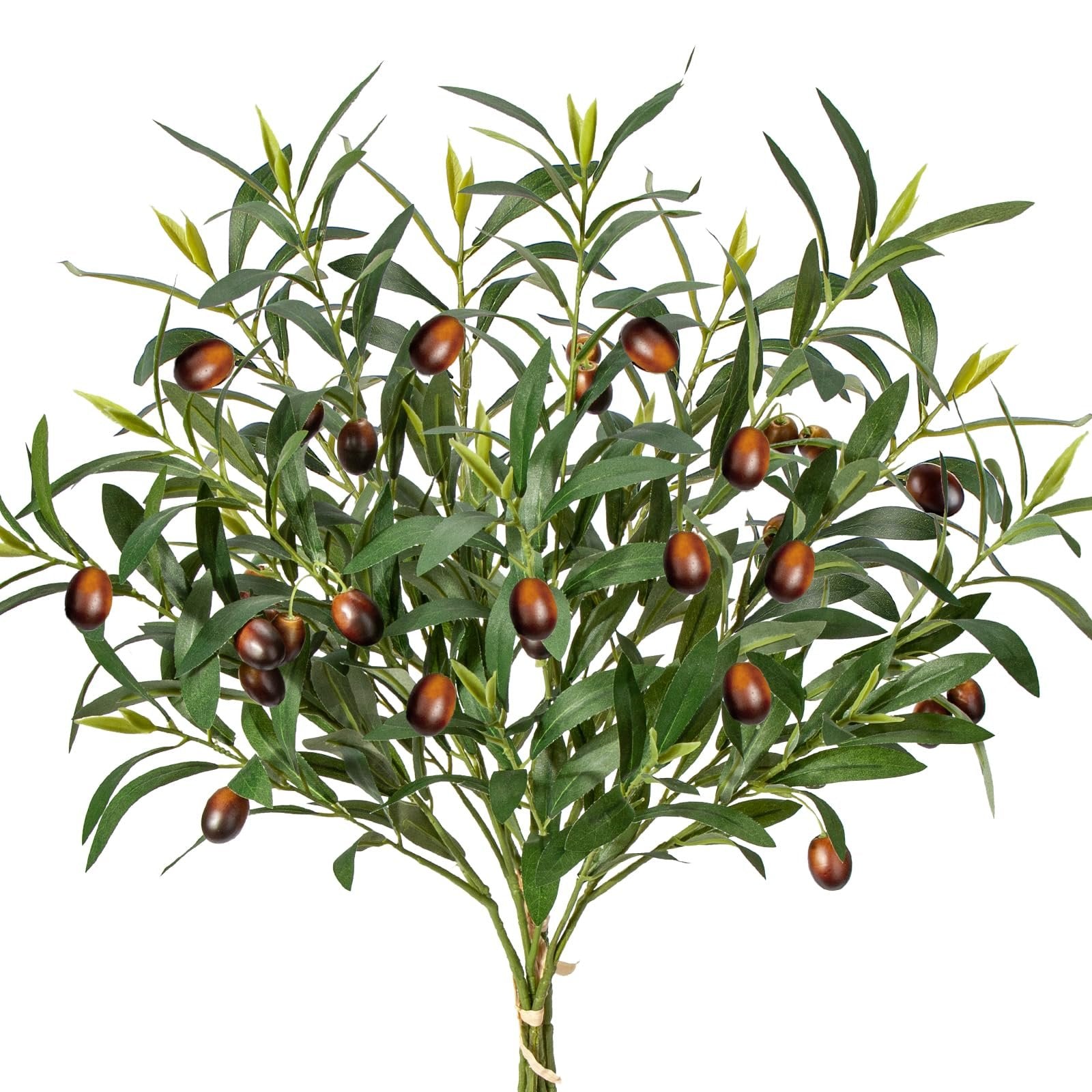 Artificial olive branch with green leaves and brown olives, tied with twine at the stem, isolated on white.